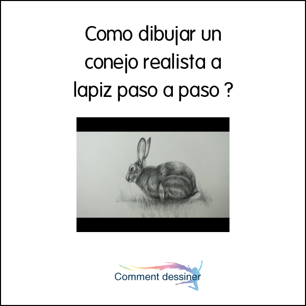 Como dibujar un conejo realista a lapiz paso a paso